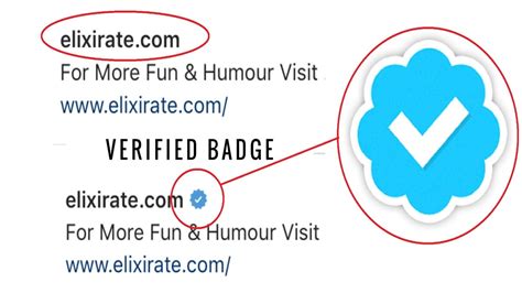 Verification Badge Emoji Instagram Blue Tick Copy It Has A Resolution