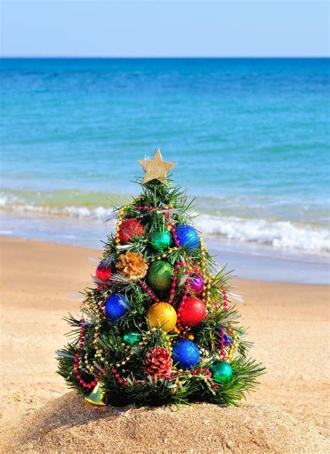 Christmas Tree On Sand In Beach Stock Photo Image Of Firtree Bright