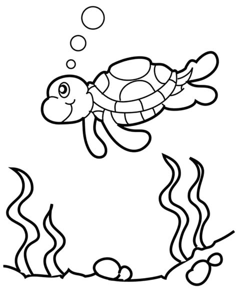 Have a great time in our website, the coloring kid team. cute-baby-turtle-coloring-pages (With images) | Turtle coloring pages, Animal coloring pages ...