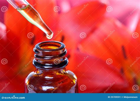 Herbal Medicine Dropper Bottle With Flowers Stock Image Image Of