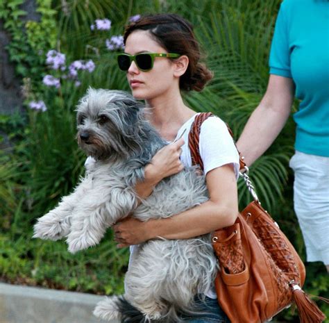 24 Celebs Who Literally Came To The Rescue For Their Pups Celebrity