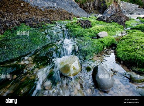 Babbling Waterfall Hi Res Stock Photography And Images Alamy
