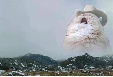 Создать мем кот орет в горах мем кричащий кот кот орет в горах Картинки Meme