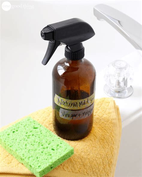 The first is by using chemicals to get rid of them. How To Get Rid Of Mold and Mildew Naturally | Mold in ...