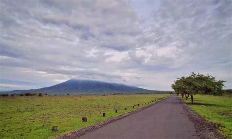 Selain bea masuk umum, dikenal juga adanya bea masuk tambahan. 10 Foto Taman Nasional Baluran, Biaya Masuk Penginapan Backpacker di Lokasi Banyuwangi ...