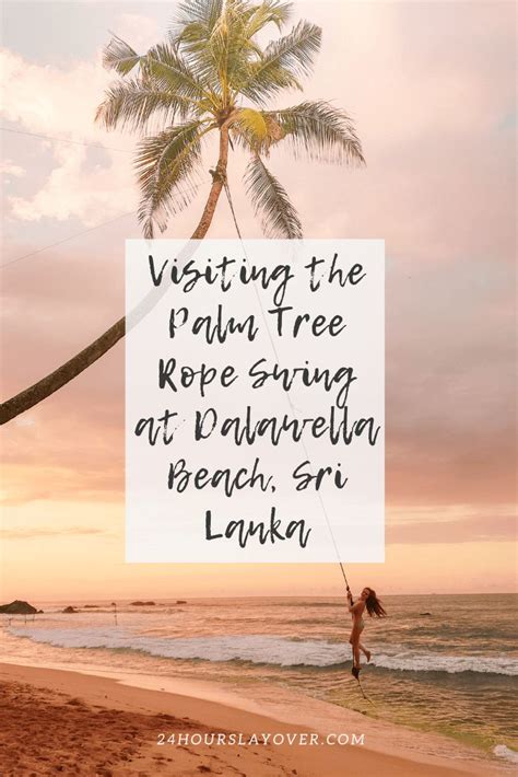 Palm Tree Rope Swing At Dalawella Beach Sri Lanka Ultimate Guide