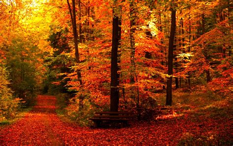 Fall Landscape Wallpaper Images