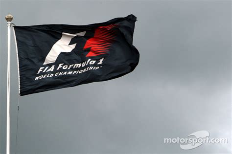 Fia Formula 1 Flag Main Gallery Photos