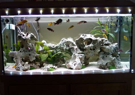 Photo 1 Freshwater Aquarium Decorated With Christmas Ligh