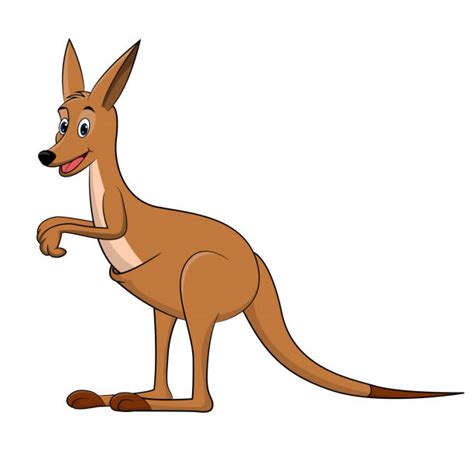 Royalty Free Baby Kangaroo Clip Art Vector Images