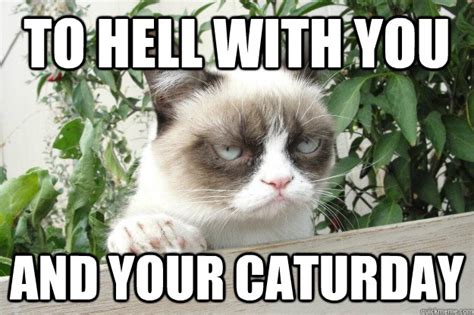 Caturday cat memes (page 1) funny caturday cat meme dump | animal memes, cat day, cat. Caturday 2014: Cute Cat Gifs + Funny Kitten Pics