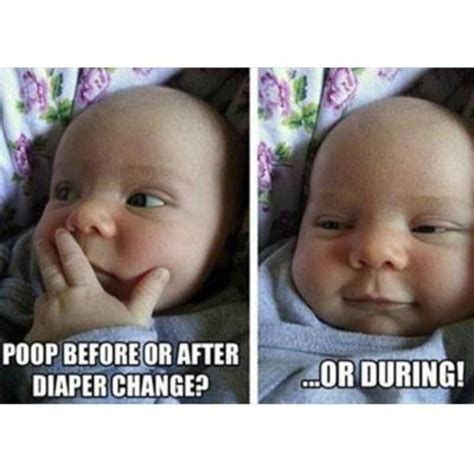 50 Best Baby Memes To Poop Or Not To Poop
