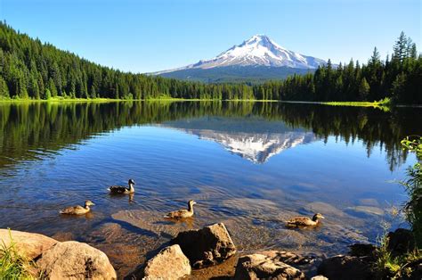 Oregon fishing lakes is the most complete fishing directory on fishable lakes in oregon. 15 Best Lakes in Oregon - The Crazy Tourist
