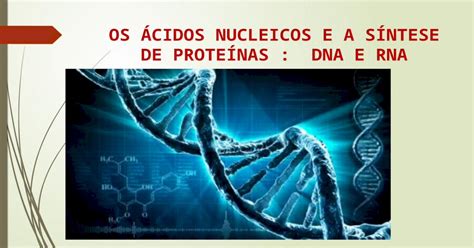 Os ácidos Nucleicos E A Síntese De Proteínas Pptx Powerpoint