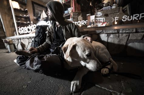 Homeless People and Their Pets