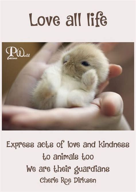 Showing search results for kindness to animals sorted by relevance. Love all life. Express acts of love and kindness to animals too. We are their guard… | Kindness ...