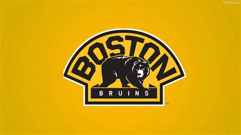 Wallpaper Boston Bruins Bear Logo K7off