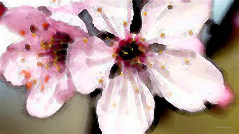 Cherry Blossoms By Sharon Cummings Painting By William Patrick Fine