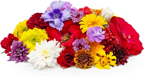 Assorted Flowers Information Recipes And Facts