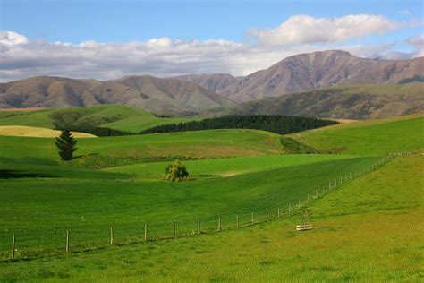 No booking fees · free cancellation · secure booking Rolling Hills of NZ | I've been umming and ahhing over uploa… | Flickr
