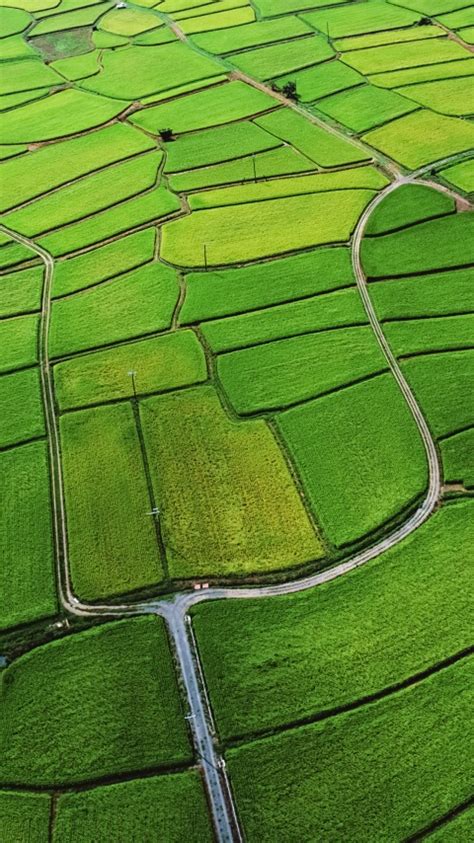 Agriculture Wallpaper 4k Farm Land Countryside Aerial View Green
