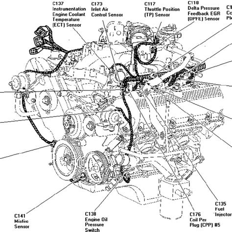 Ford Coyote Engine Wiring Diagram Pcm Schematic And Wiring Diagram My