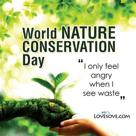 Best Quotes On World Nature Conservation Day Nature Quotes