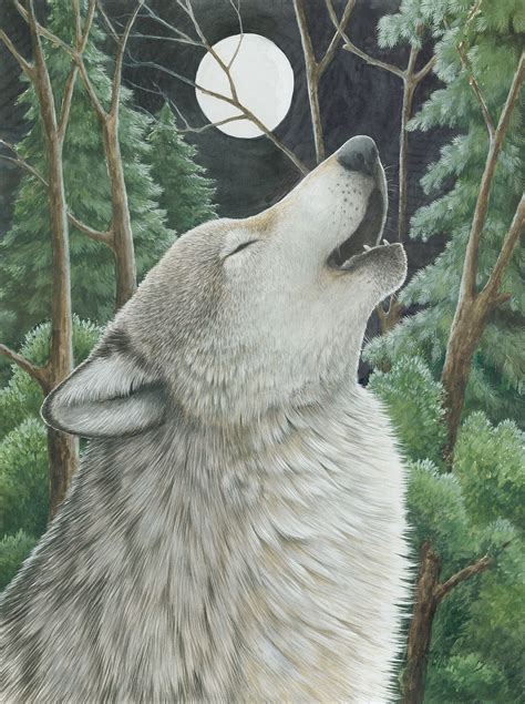 Howling Wolf By Kathy Goff Wolf Art Illustration Art Wolf Howling