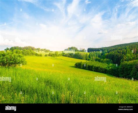Summer Landscape With Lush Green Meadows Forest Blue Sky White