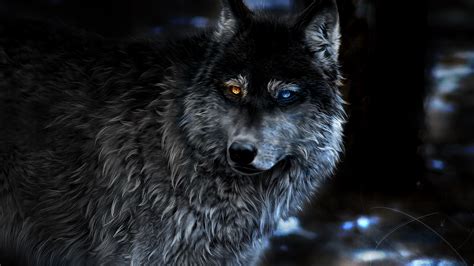 2560x1440 Wolf Heterochromia Fantasy 1440p Resolution Hd 4k Wallpapers