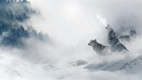 Wolf Wallpapers Photos And Desktop Backgrounds Up To 8k 7680x4320