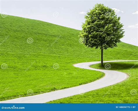 Country Road Winding Through Green Landscape Stock Image Image Of