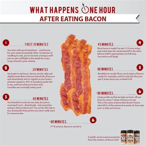 What Happens To Your Body After Eating Bacon Graphic Reveals