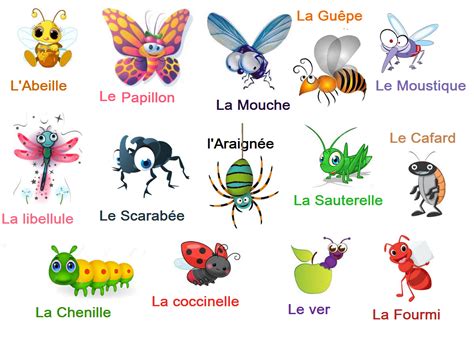 Photos From Posts French Beginners Animals French Vocabulary