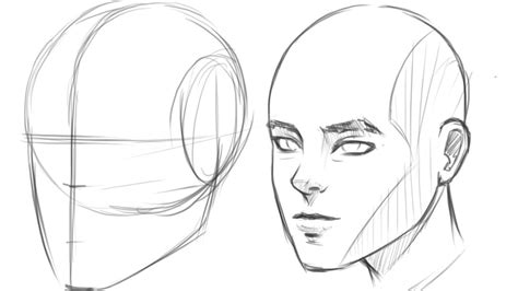 How To Draw Human Head View Drawing Tutorial Face Drawing The Human Head Human Face Drawing