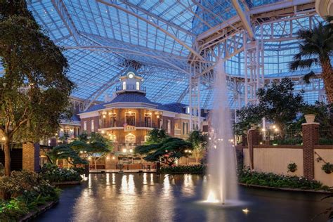 Gaylord Opryland Resort And Convention Center Resort My XXX Hot Girl