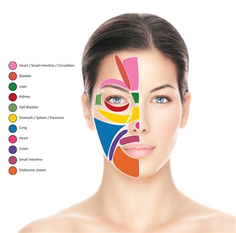 face reflexology map