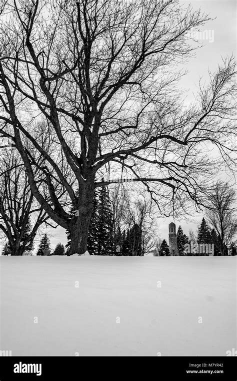 Crown Of Snow Hi Res Stock Photography And Images Alamy