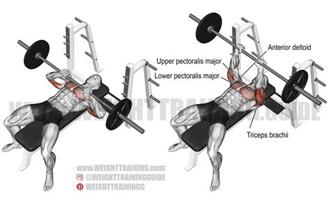 Close Grip Barbell Bench Press Exercise Instructions And Video