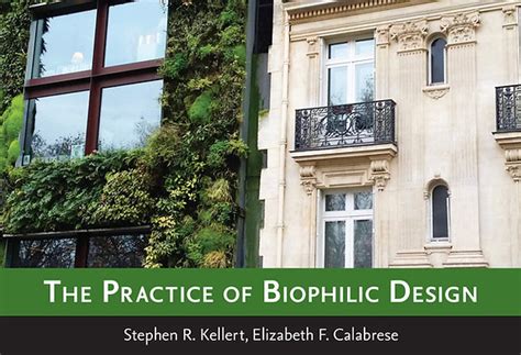 The Practice Of Biophilic Design A Simplified Framework