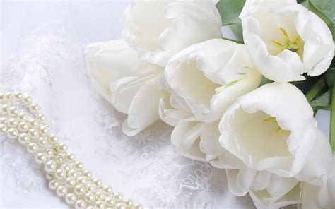 Beautiful white flowers and fresh name plumeria pudica endurance. Flowers Wallpaper White Desktop #4771 Wallpaper ...