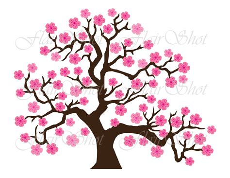 Japanese Tattoo Cherry Blossom Pink Cherry Blossom Tree Blossom Trees