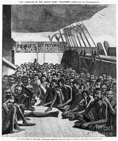 Slavery Slave Ship 1860 Photograph By Granger