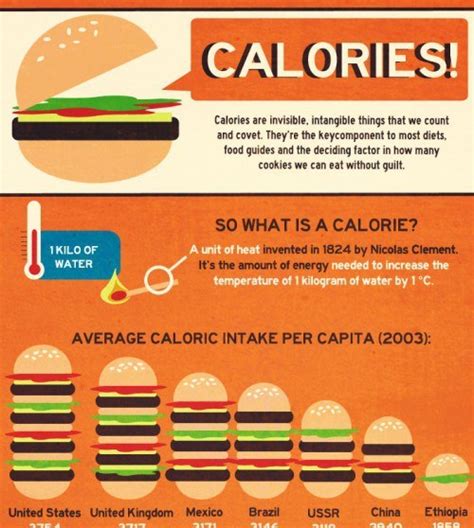 A unit of energy, often used as a measurement of the amount of energy that food provides: Calories - So what is a Calorie? (Infographic)