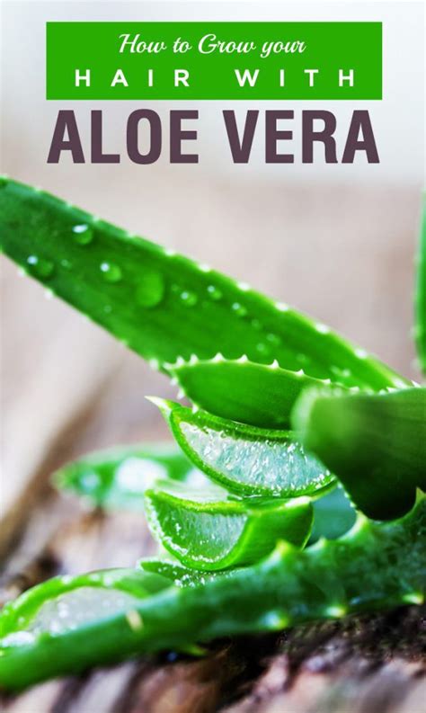 Diy face mask for glowing skin: Aloe Vera Overnight Hair Mask | How To Use Aloe Vera Juice ...