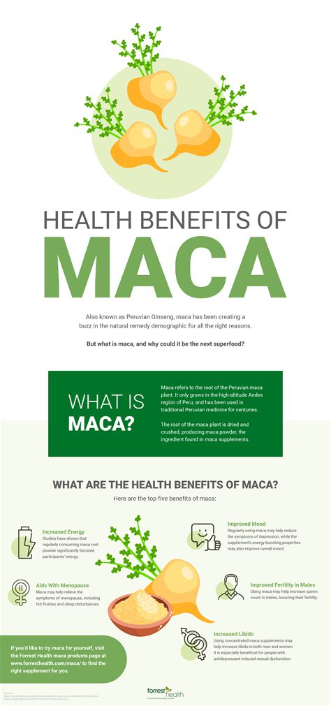 maca health benefits what is macaforrest health