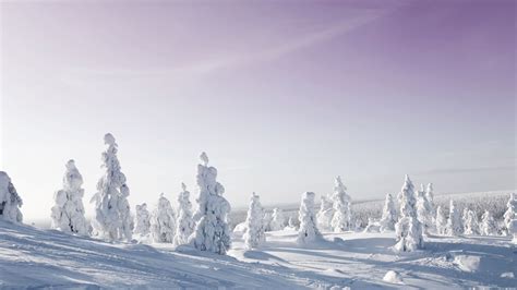 Sweden Winter Wallpapers Wallpaper Cave