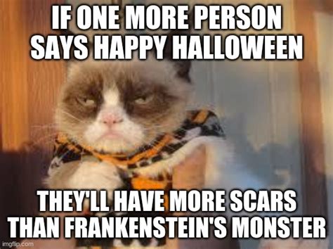 Grumpy Cat Halloween Meme Imgflip