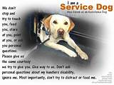 Pictures of How Can I Have My Dog Be A Service Dog