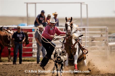 Rocky Boy Rodeo Indian Cowboy Casey Stone Competes In Tie Down Roping